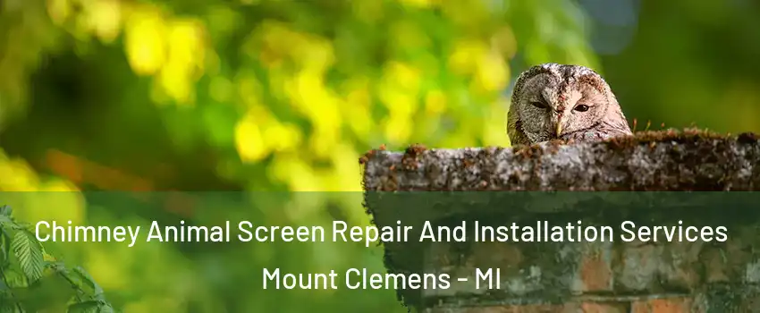  Chimney Animal Screen Repair And Installation Services Mount Clemens - MI