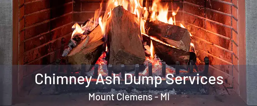  Chimney Ash Dump Services Mount Clemens - MI