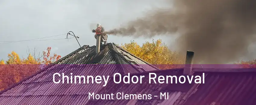 Chimney Odor Removal Mount Clemens - MI