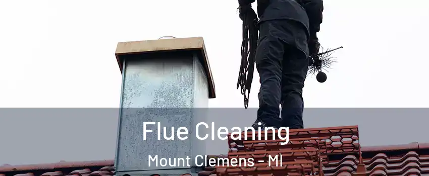 Flue Cleaning Mount Clemens - MI