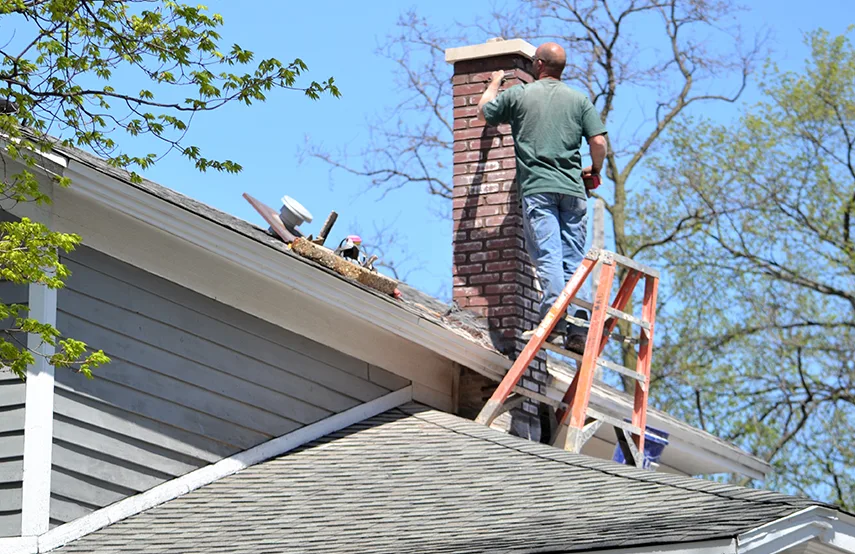 Chimney & Fireplace Inspections Services in Mount Clemens, MI