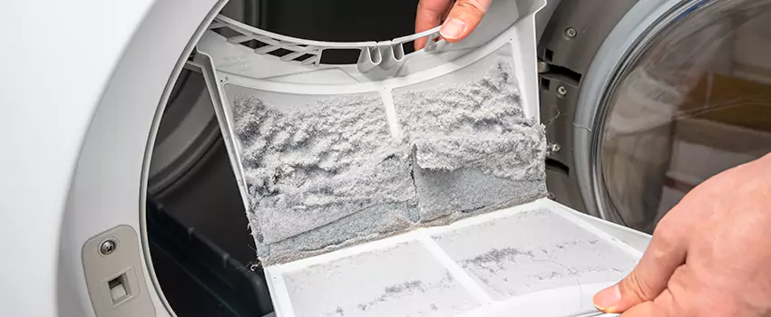 Best Dryer Lint Removal Company in Mount Clemens, Michigan