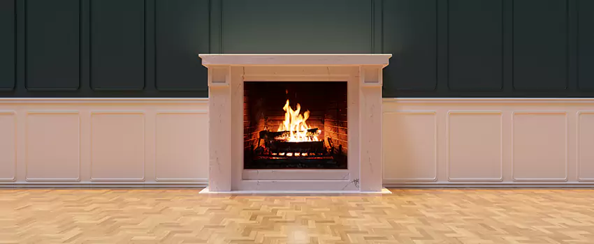 Napoleon Electric Fireplaces Inspection Service in Mount Clemens, Michigan