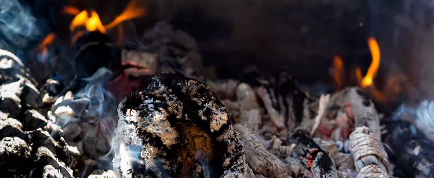 Creosote Removal Experts in Mount Clemens, MI