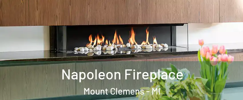  Napoleon Fireplace Mount Clemens - MI